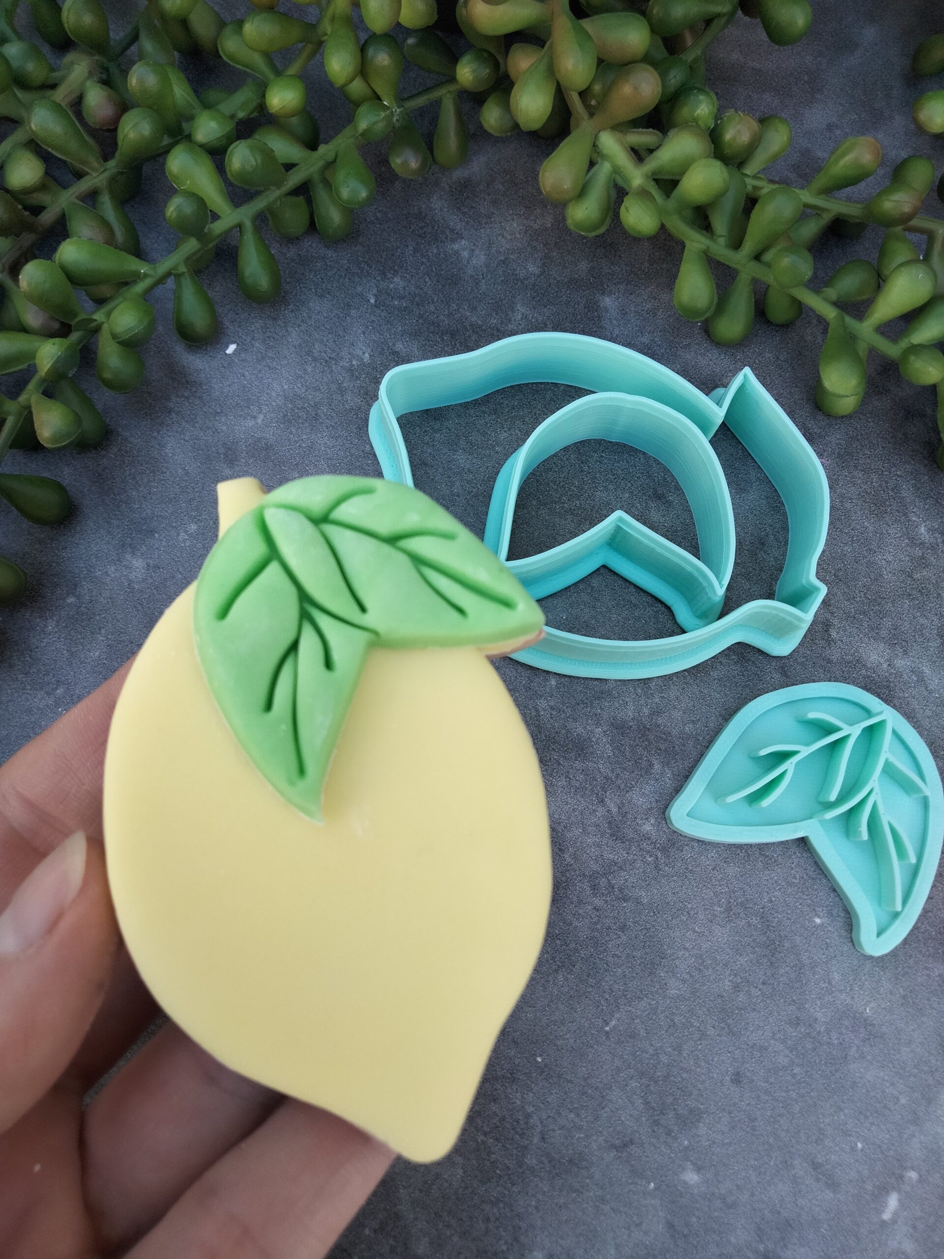Lemon with Leaves v2- Cutter – The Sweet Designs Shoppe