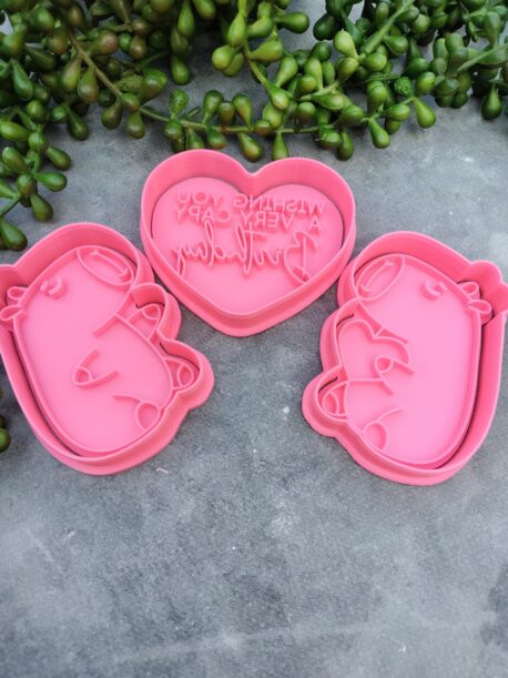 Capybara Cookie Cutter and Fondant Stamp Embosser Set Valentines Day Birthday Love Heart Hug Pun