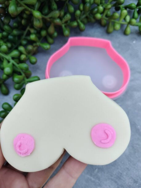 Bra Boobs and Nipples Cookie Cutter and Raised Stamp Breast Cookie Cutter Boobies Breast Awareness Cookies